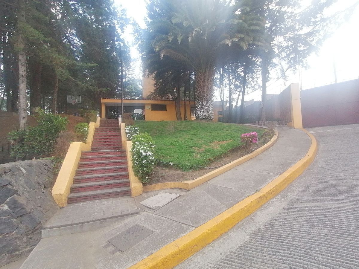 46 de 50