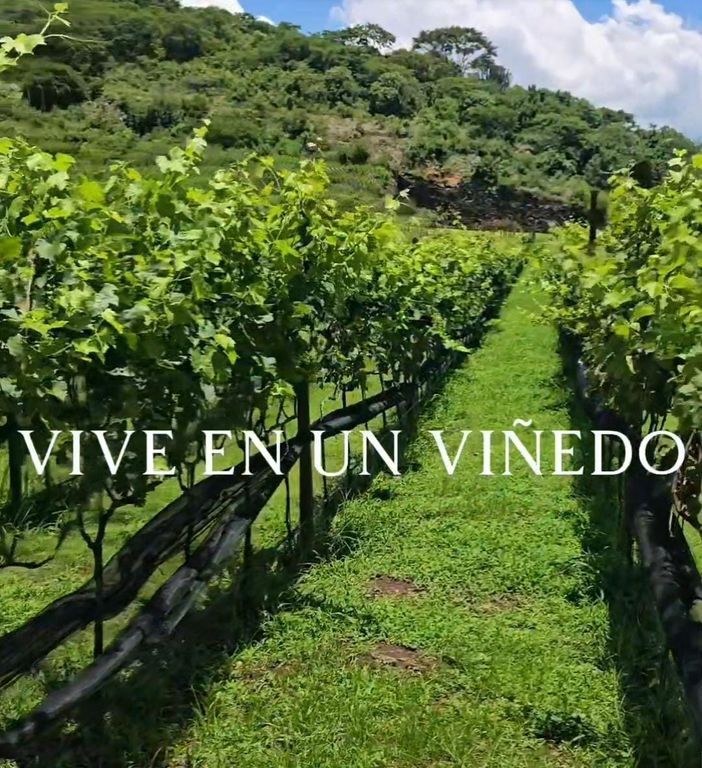 4 de 5