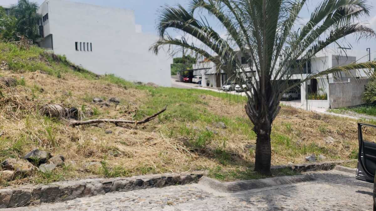 2 de 2