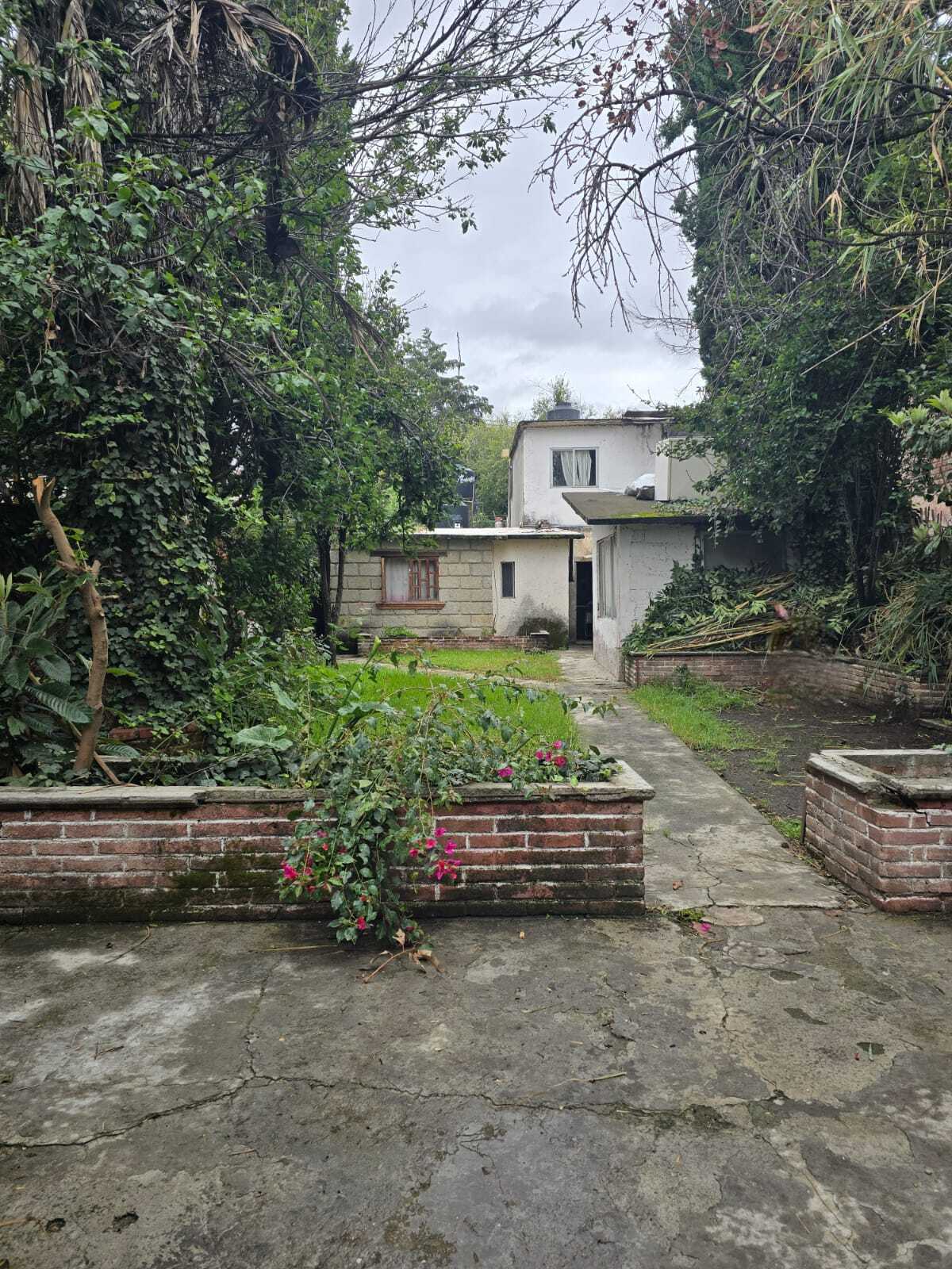 3 de 6