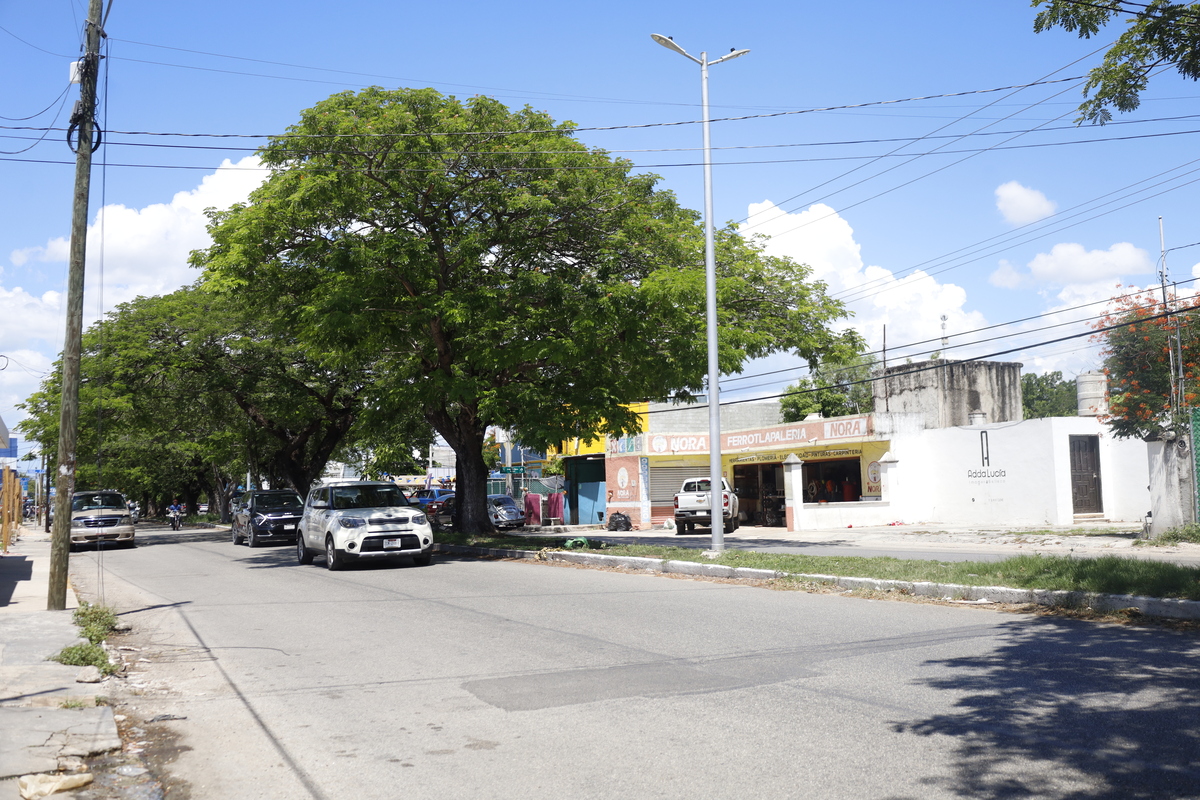 3 de 13