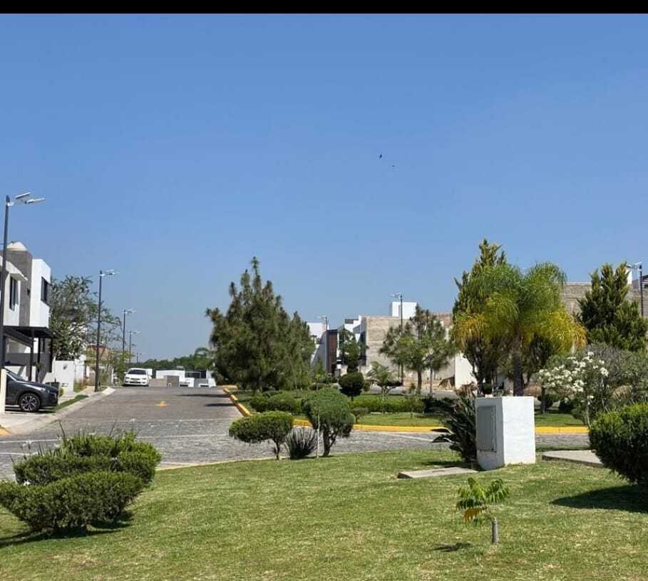 2 de 6