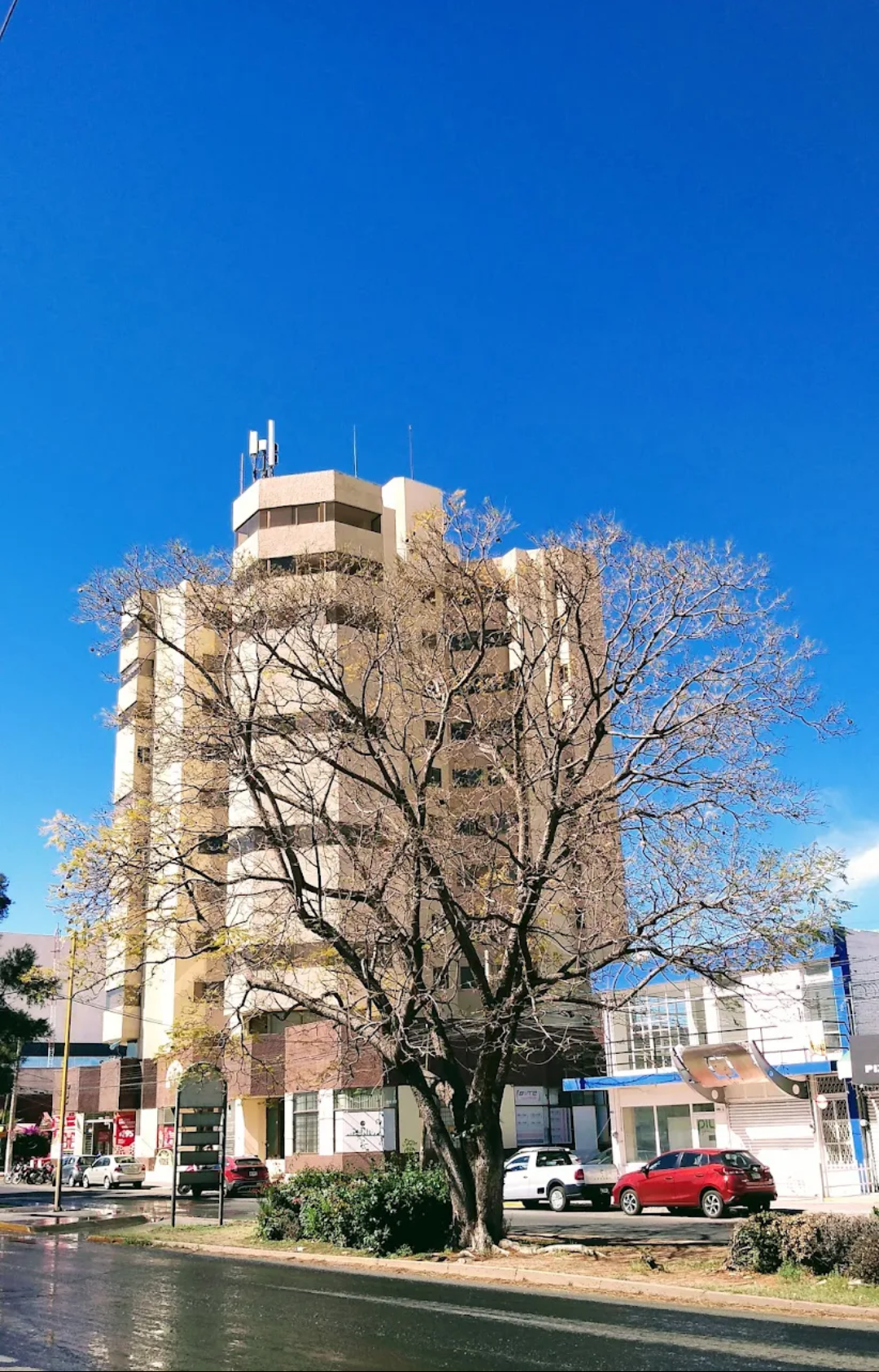 1 de 13