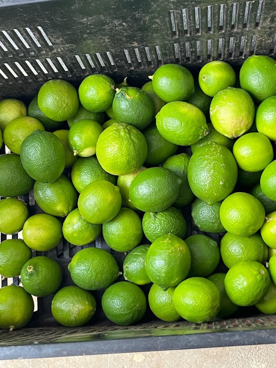 9 de 13