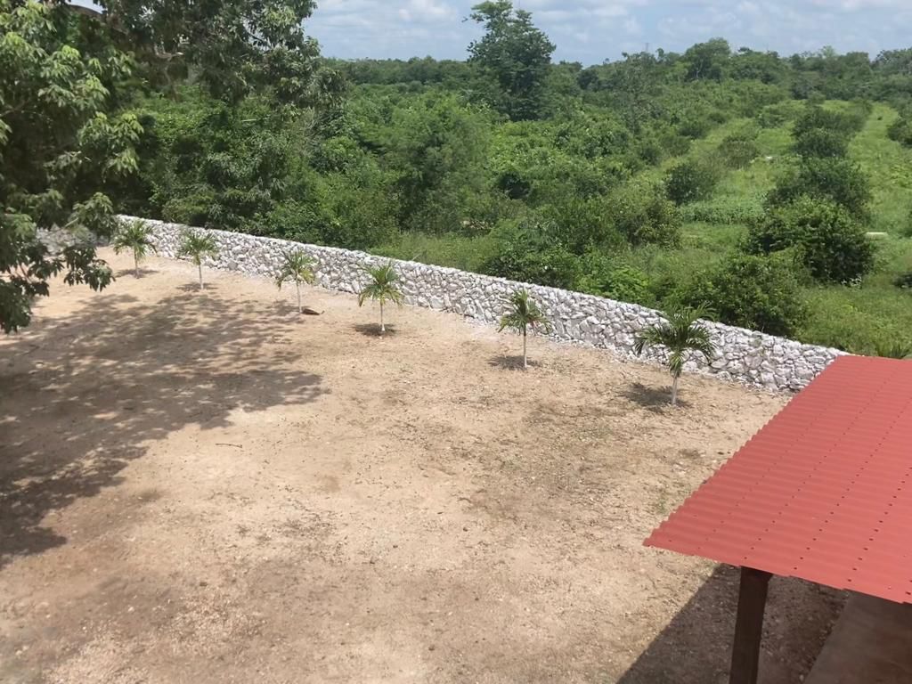 11 de 13