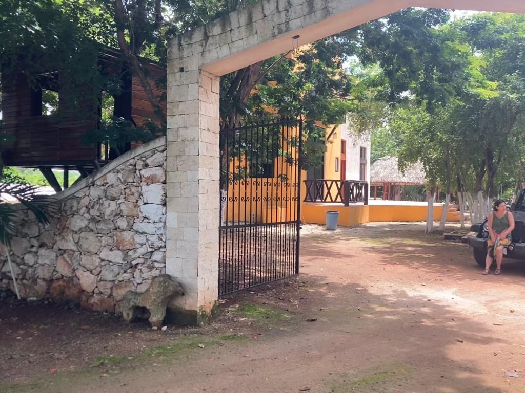 12 de 13