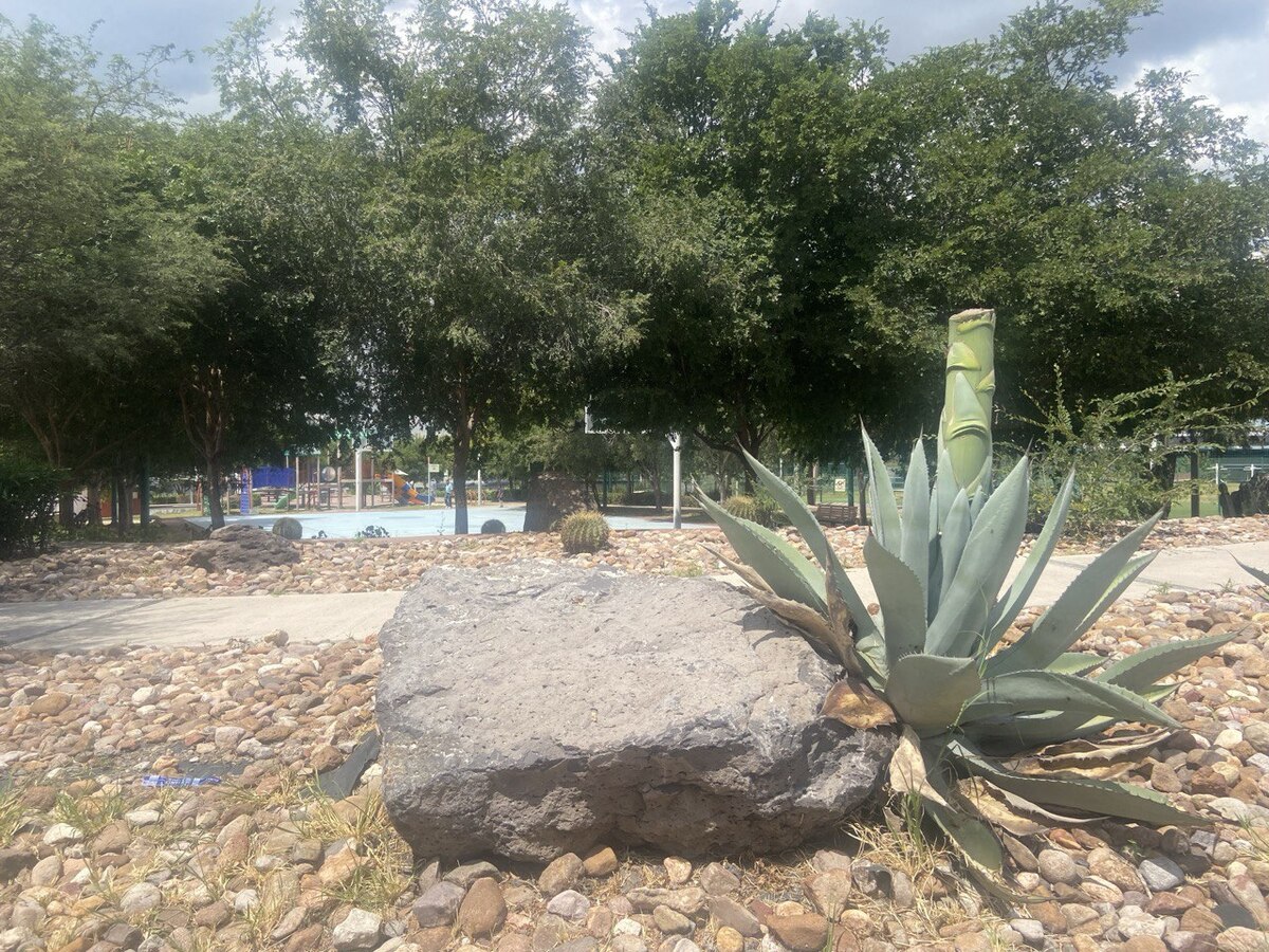 5 de 8