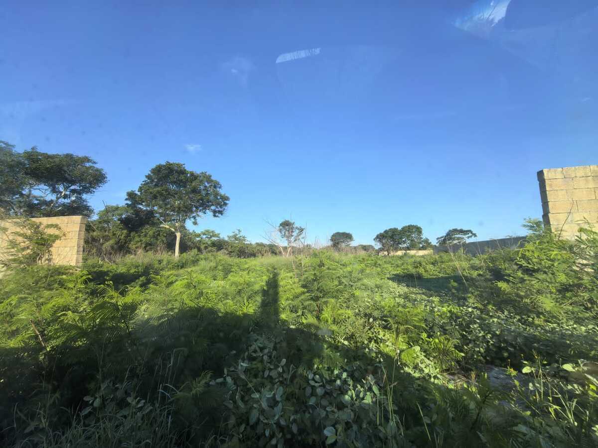 3 de 4