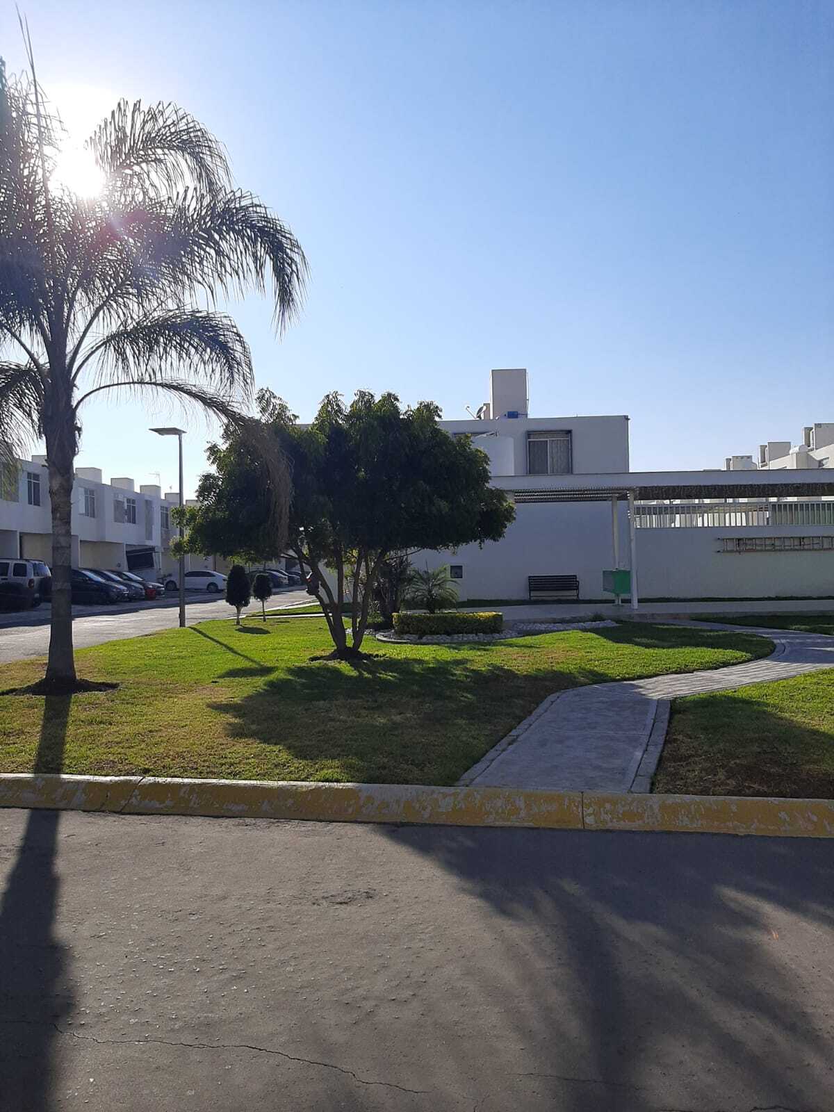 3 de 8