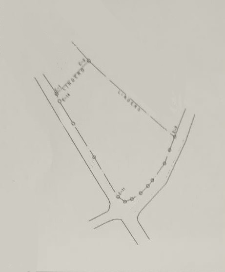 1 de 6