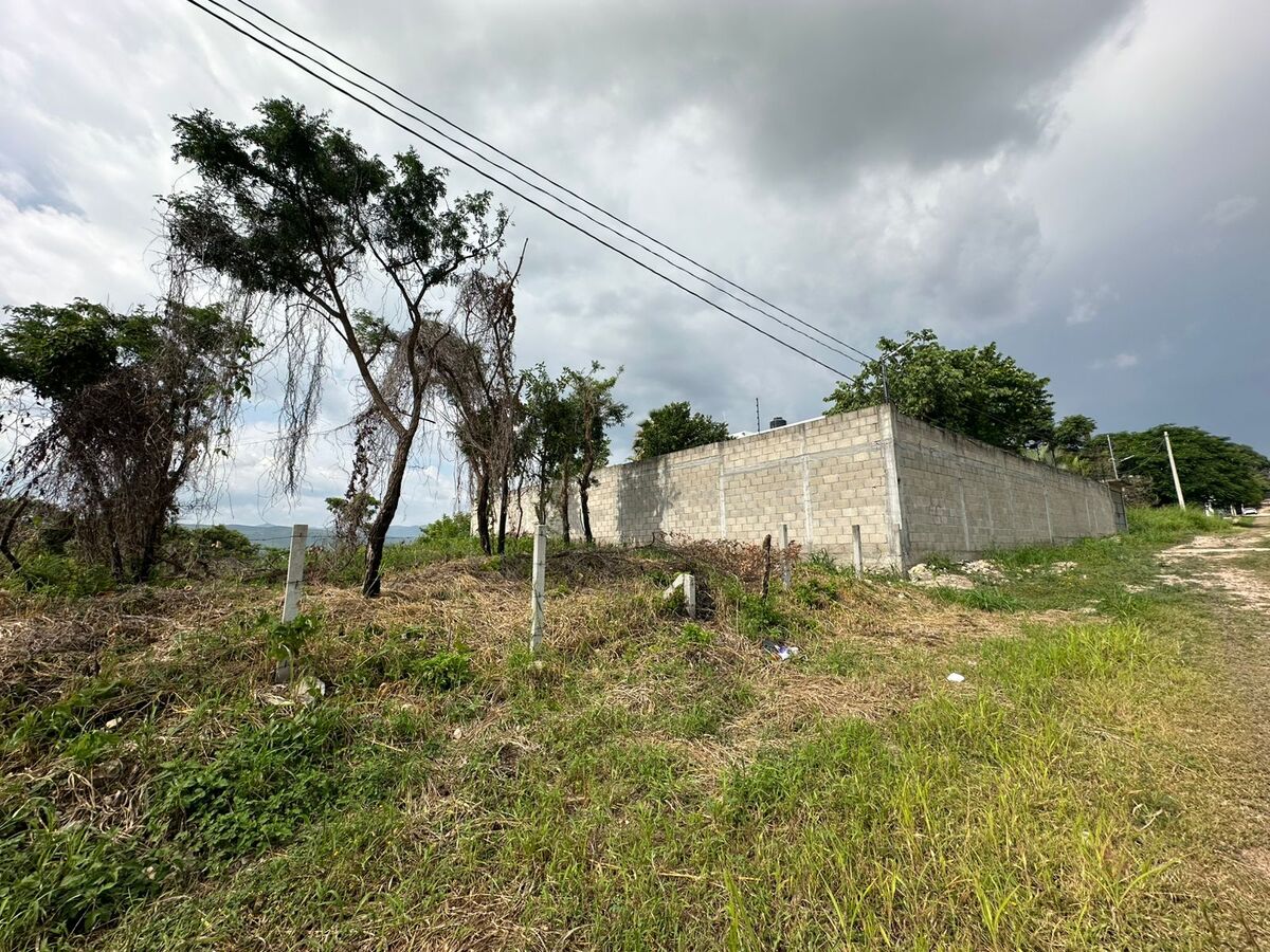 3 de 4