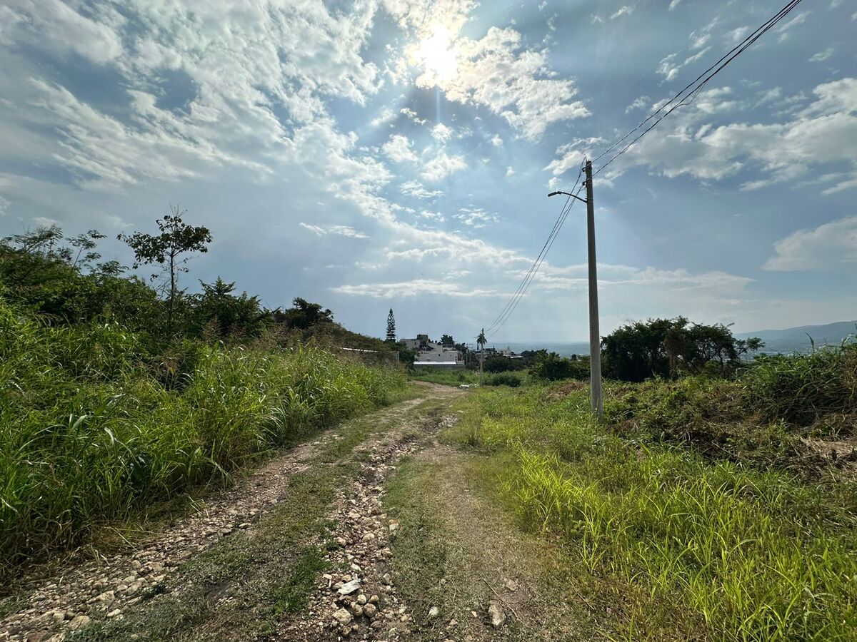3 de 4