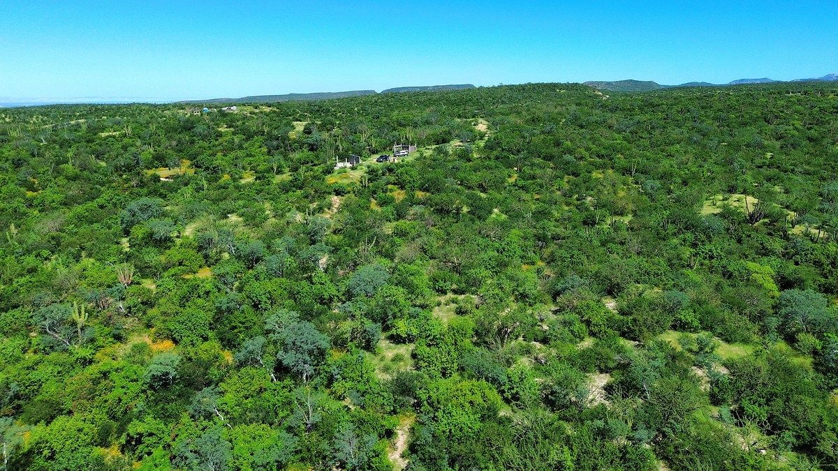 3 de 8: Vista aérea del terreno