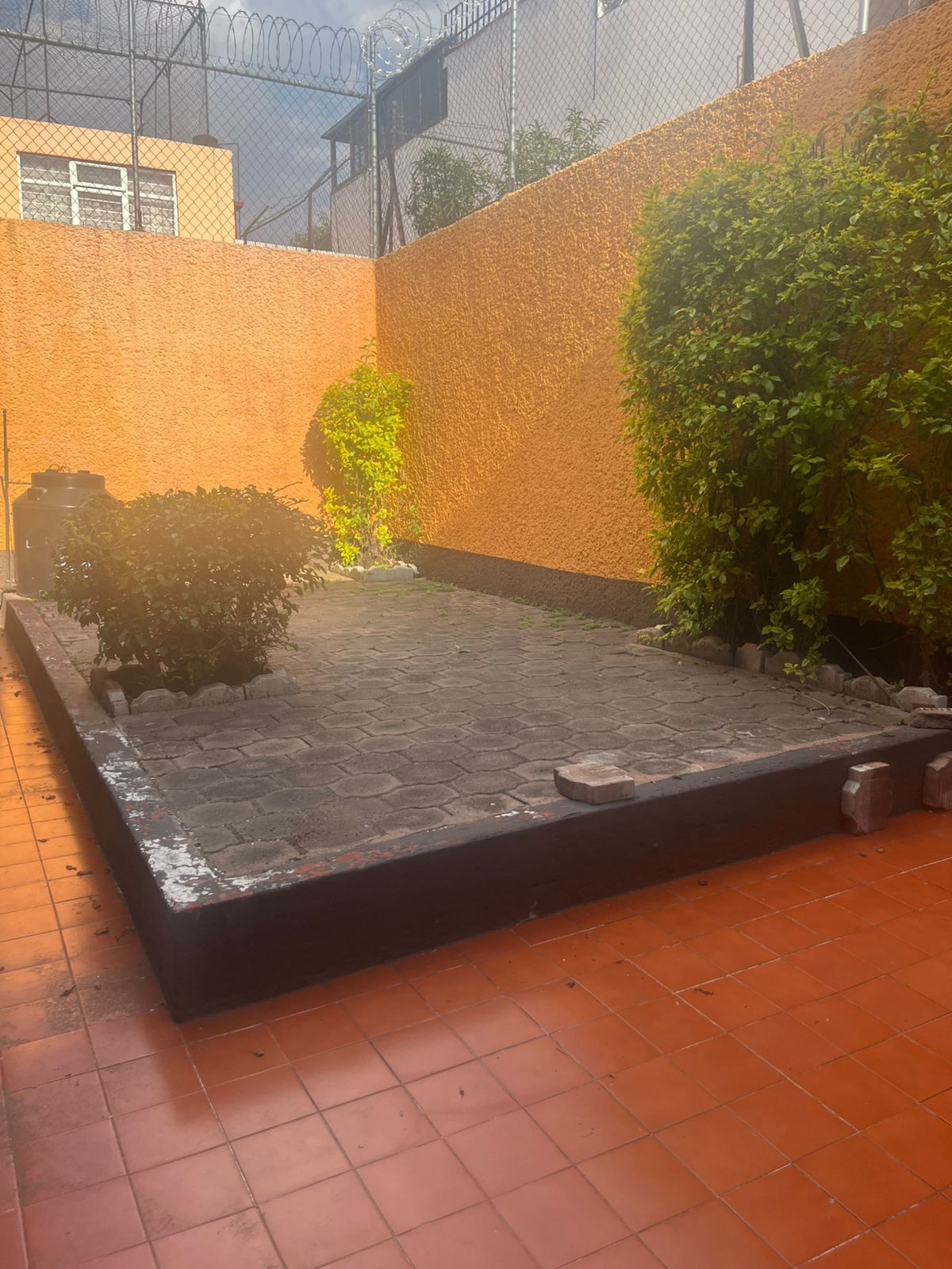 12 de 13