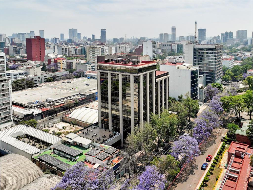 13 de 14