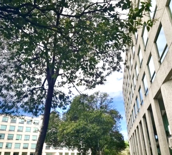 4 de 5