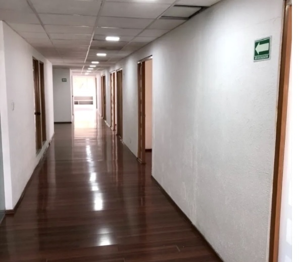 3 de 16