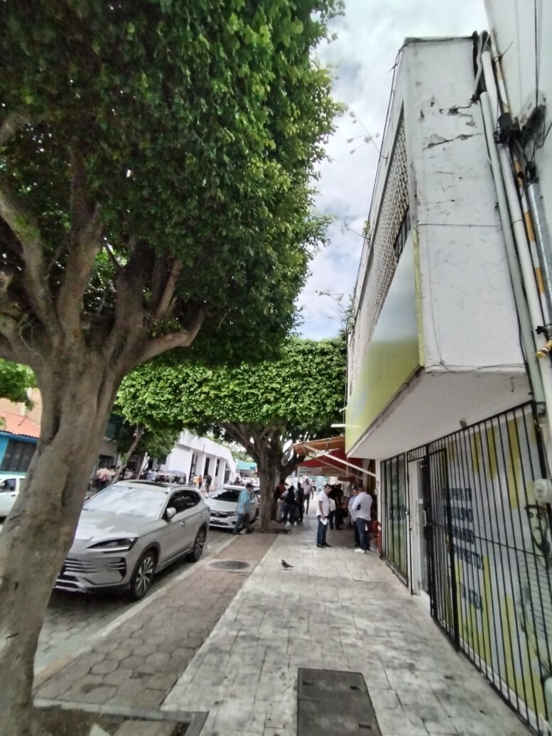 6 de 6