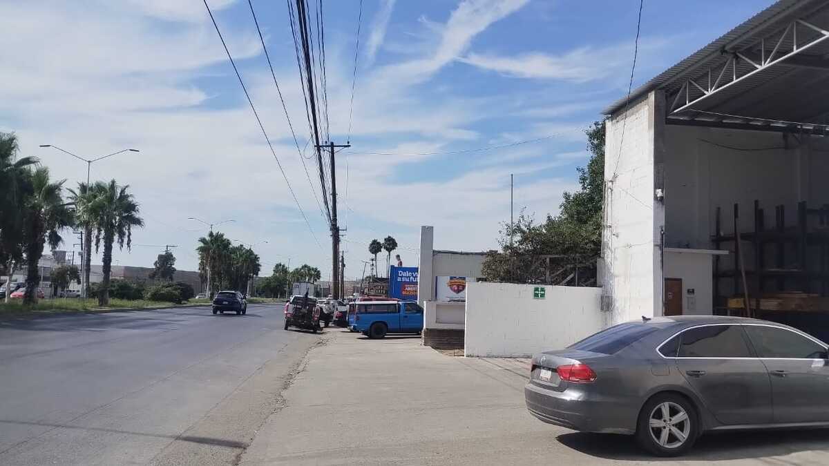 7 de 12