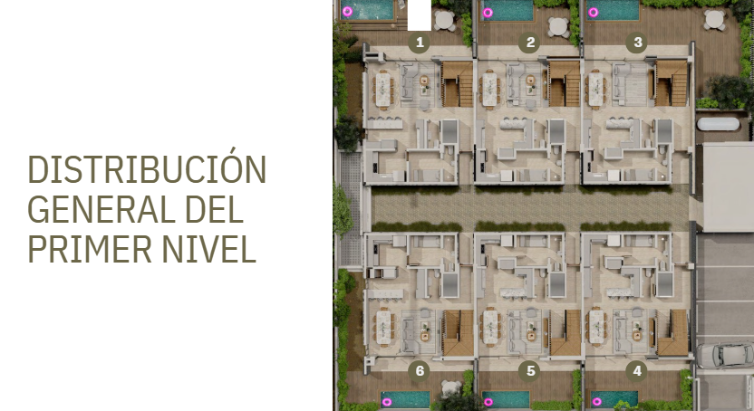 13 de 16