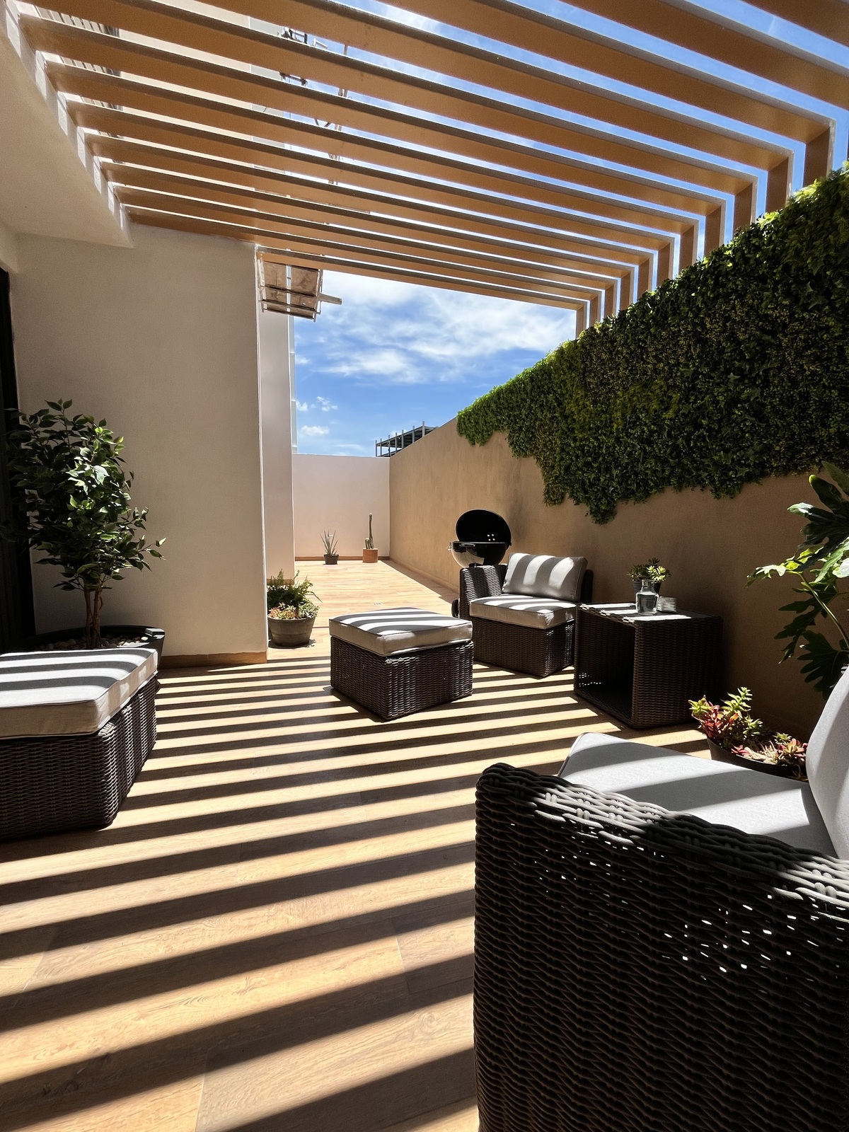 1 of 30: Terraza