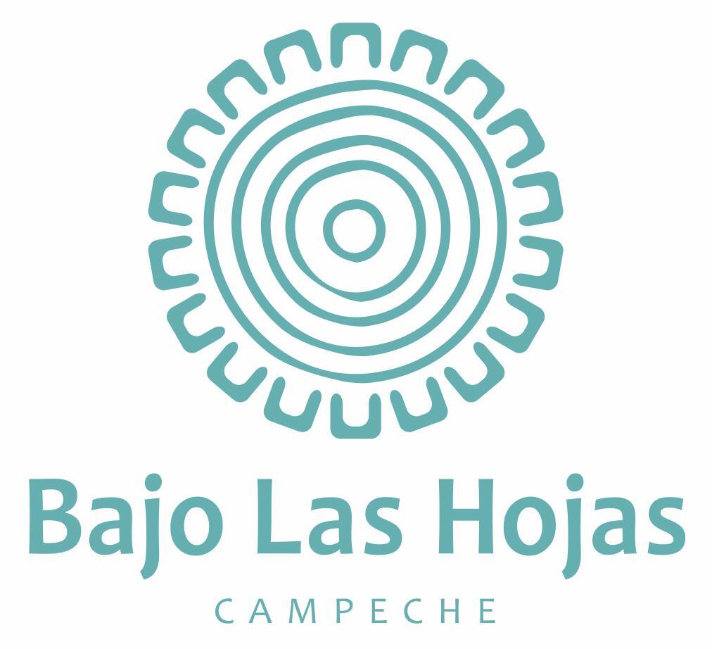 17 de 18
