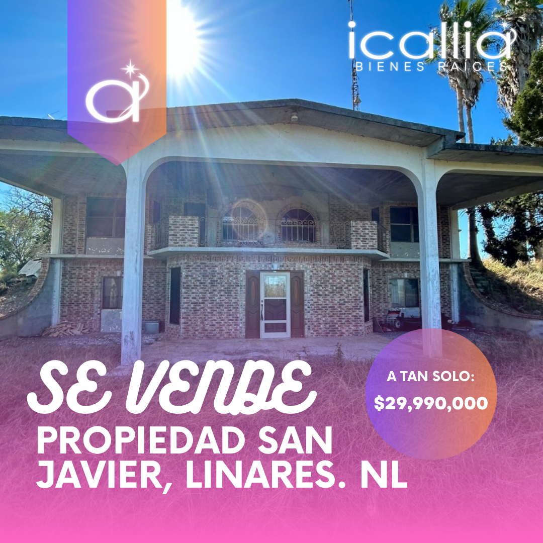 1 de 13