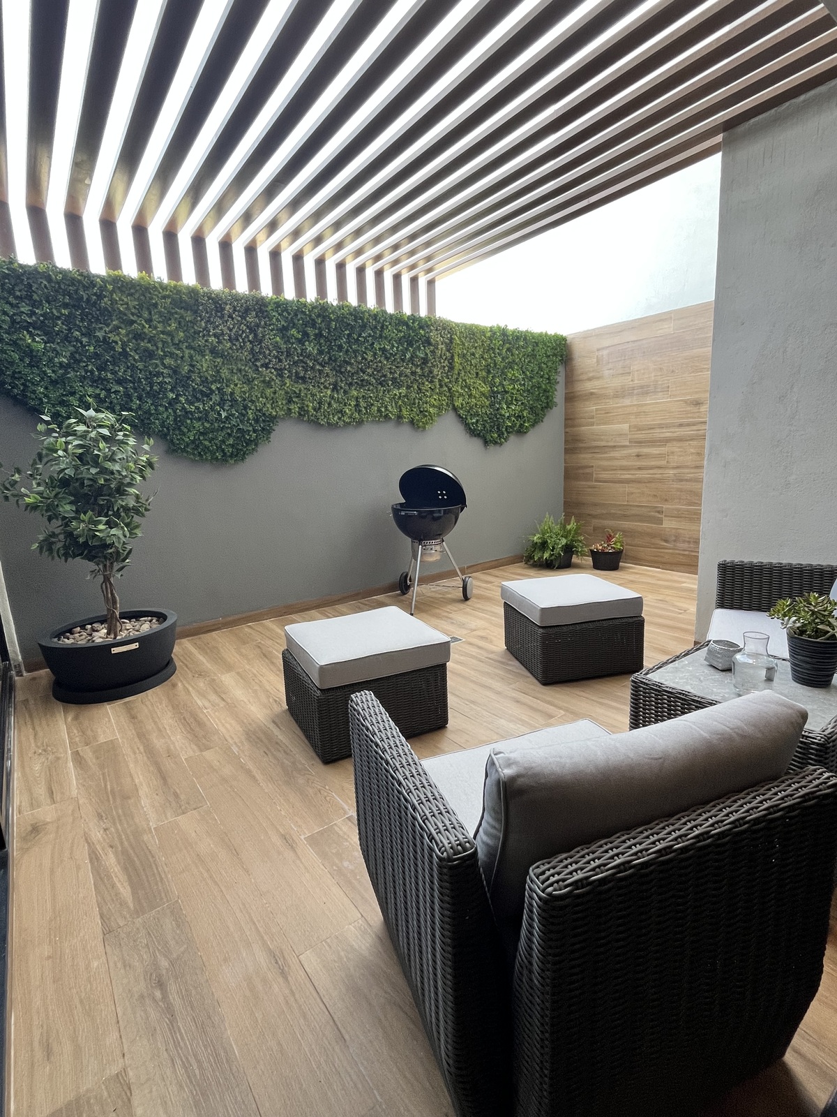 24 de 26: Terraza