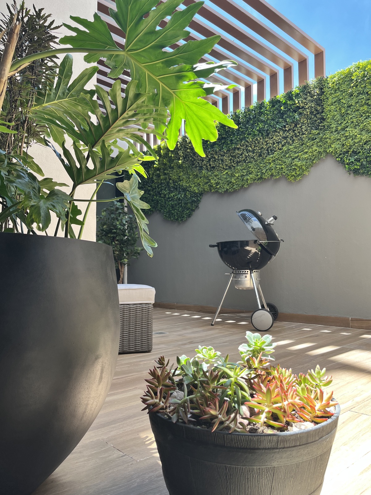 26 de 26: terraza