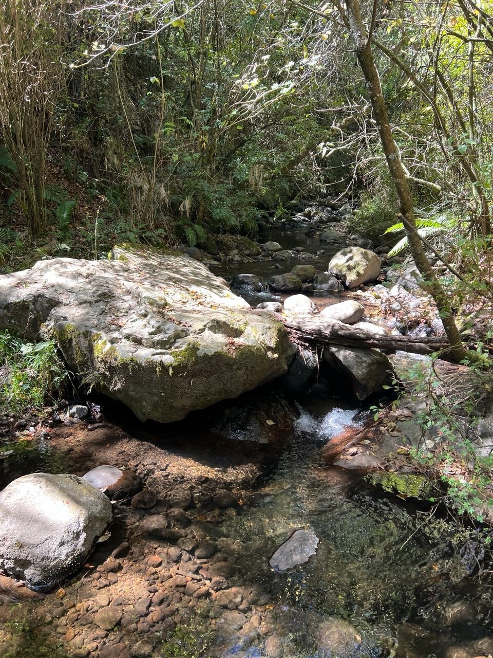 2 de 4
