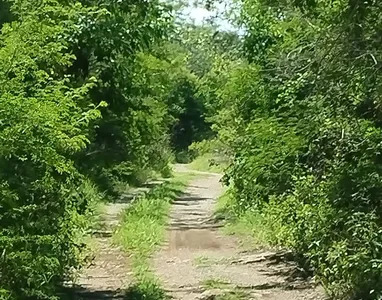 5 de 9: Terreno En Venta En Yaxkukul Yucatán
