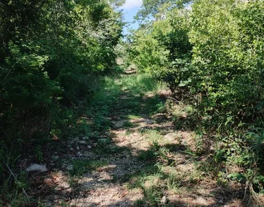 3 de 9: Terreno En Venta En Yaxkukul Yucatán