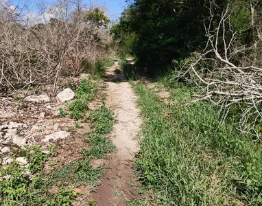 6 de 9: Terreno En Venta En Yaxkukul Yucatán