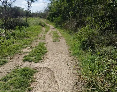 7 de 9: Terreno En Venta En Yaxkukul Yucatán