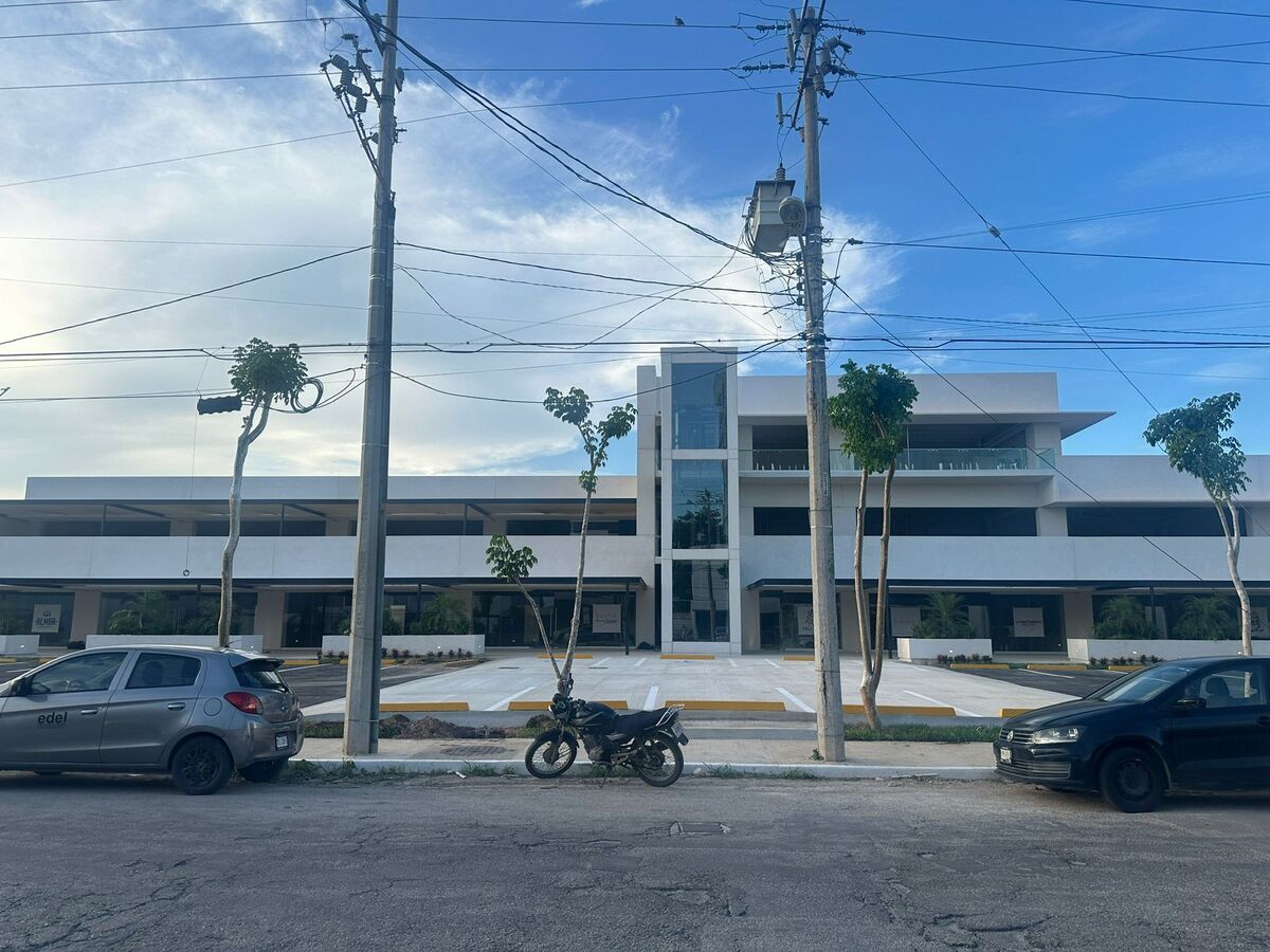 6 de 20