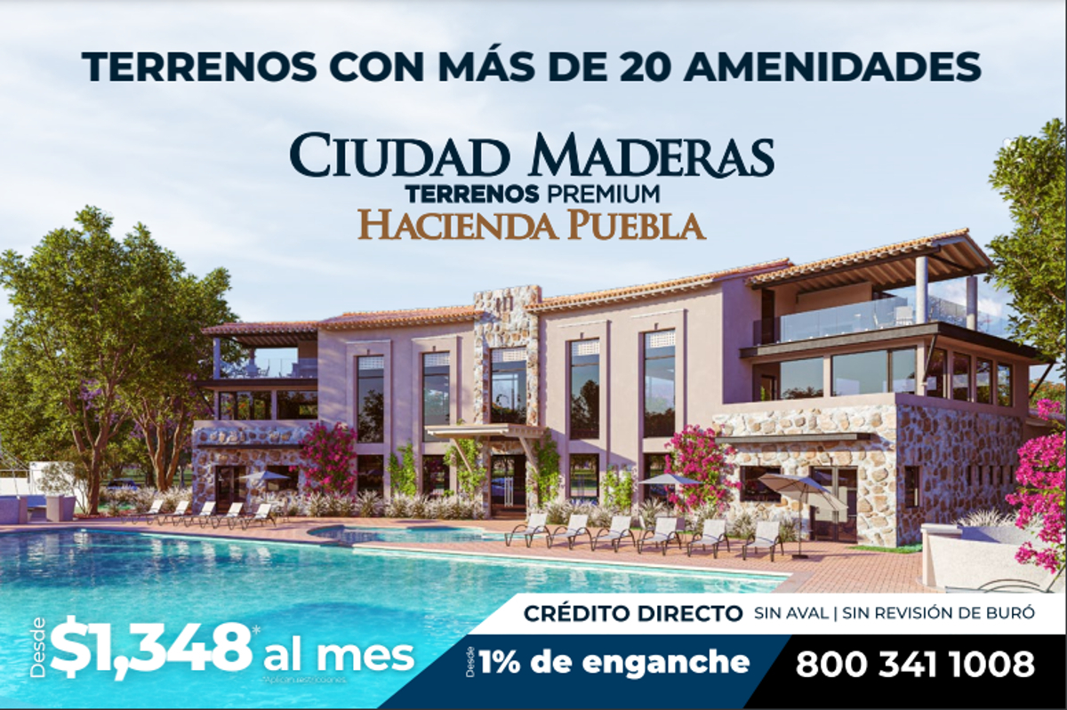 1 de 6