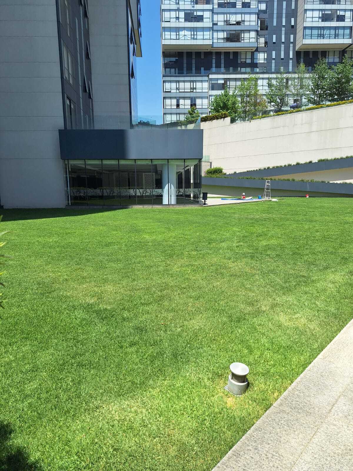 2 of 31