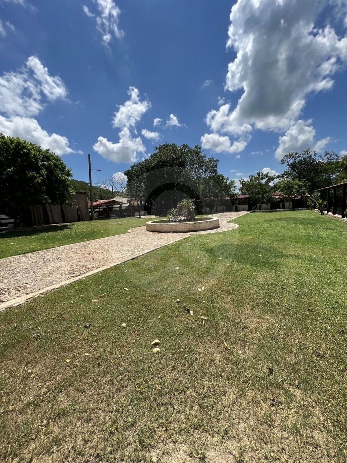 9 de 29