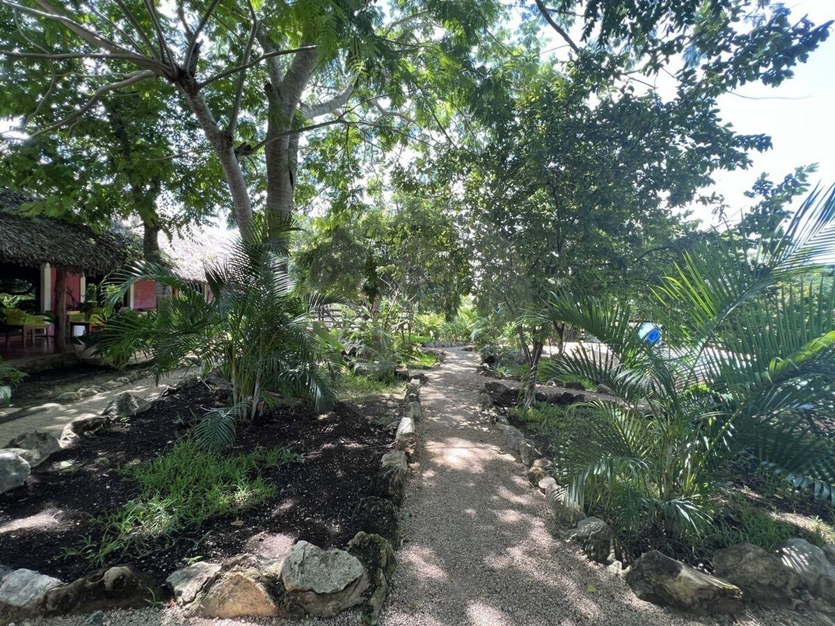 23 de 29