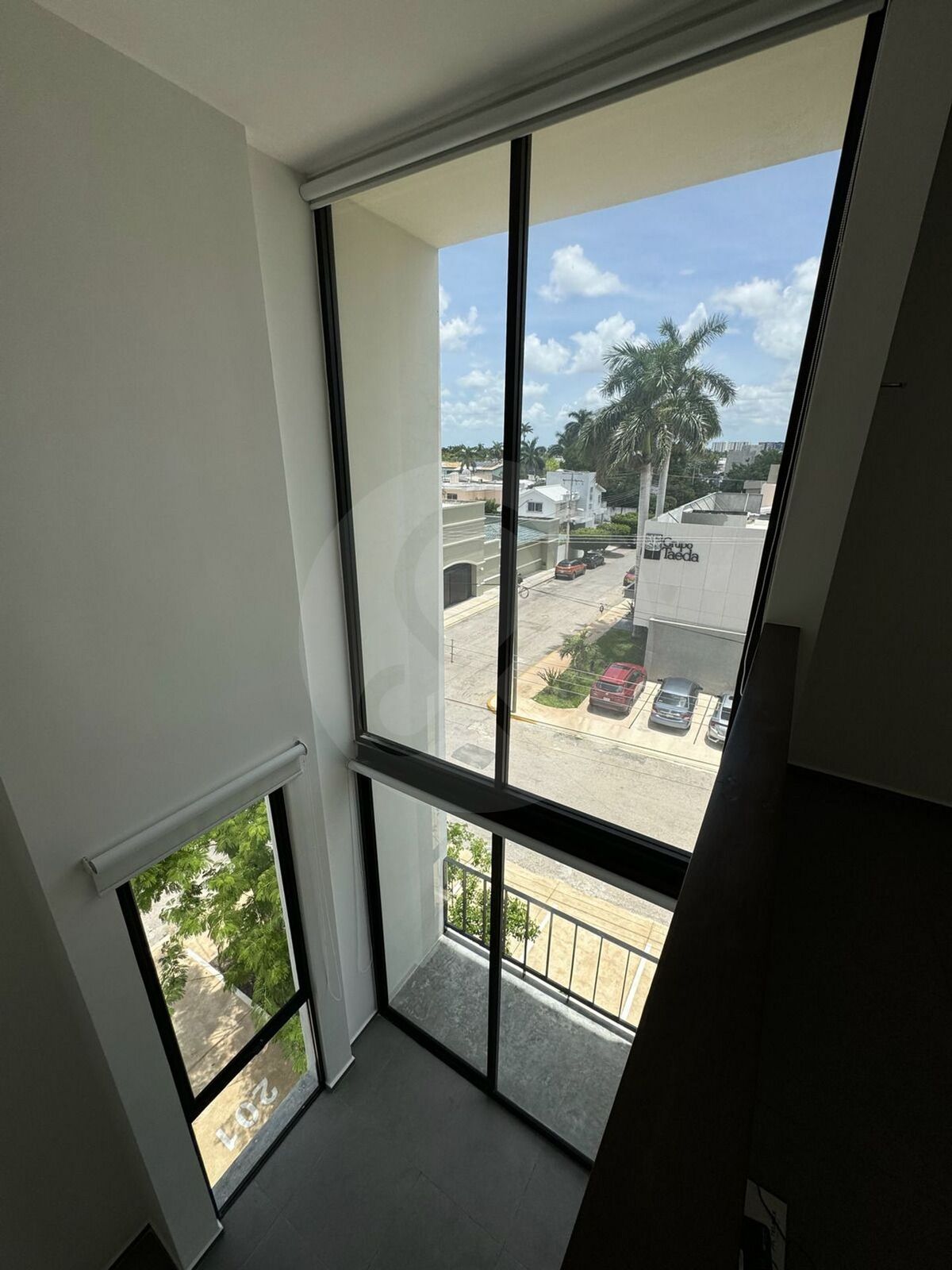 25 de 50