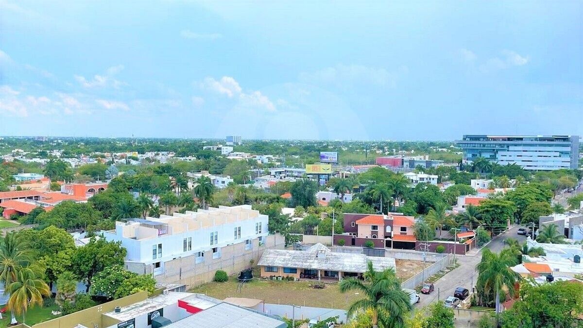 13 de 16