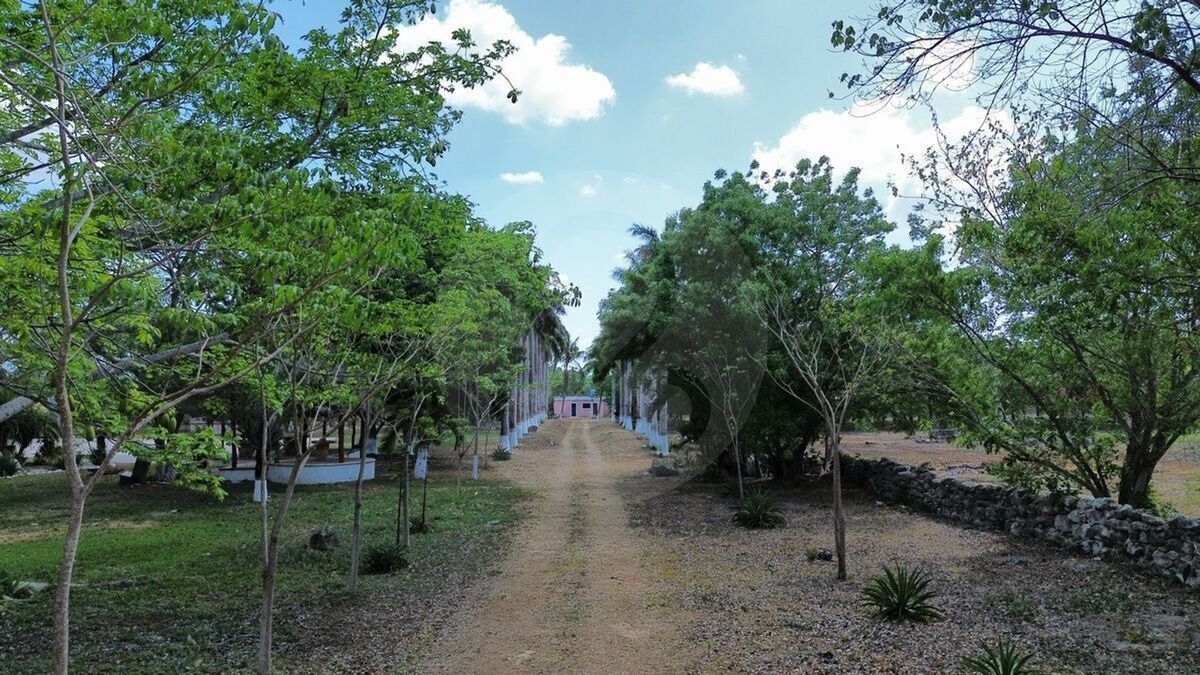 2 de 48