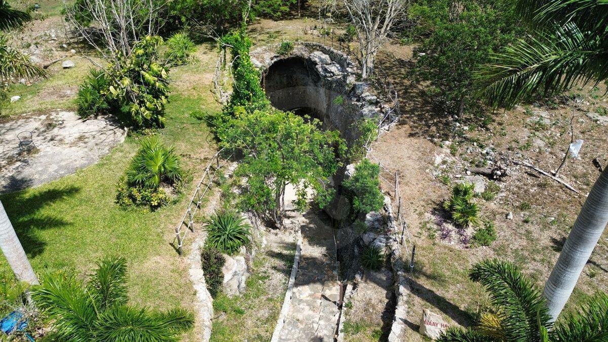 11 de 48