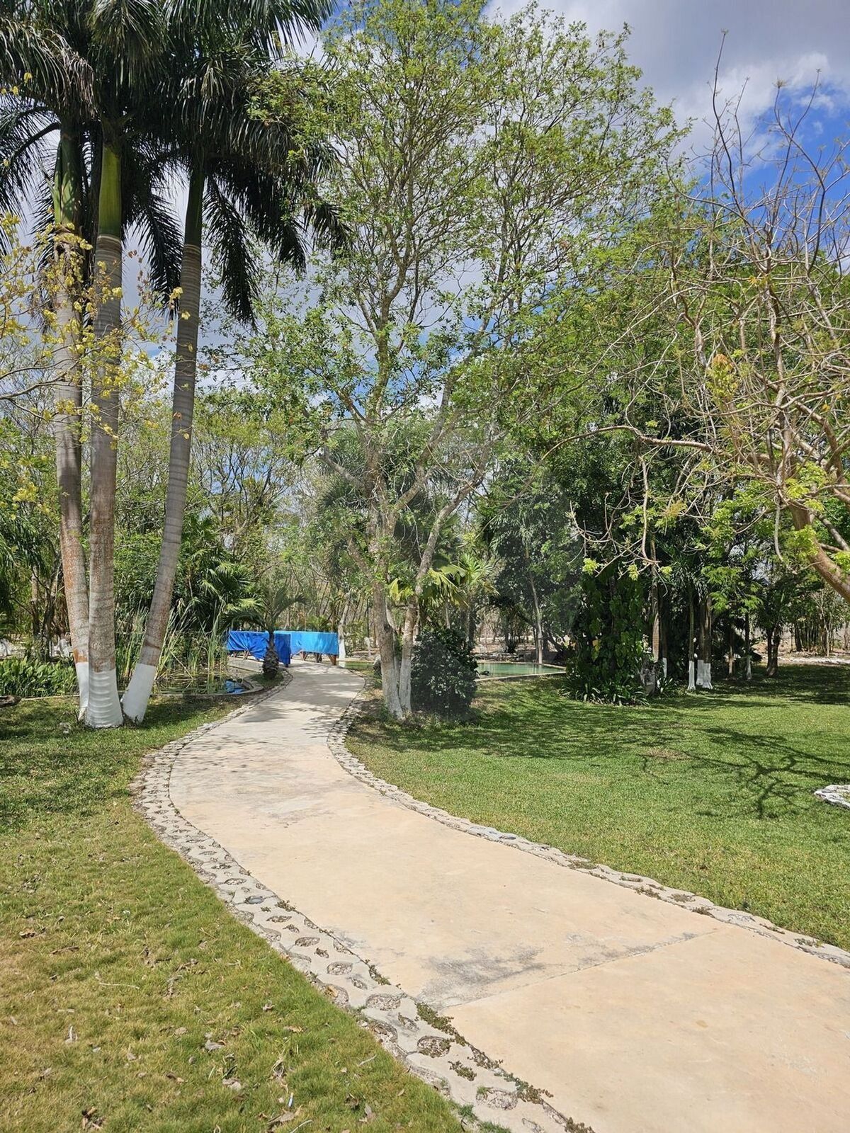 15 de 48