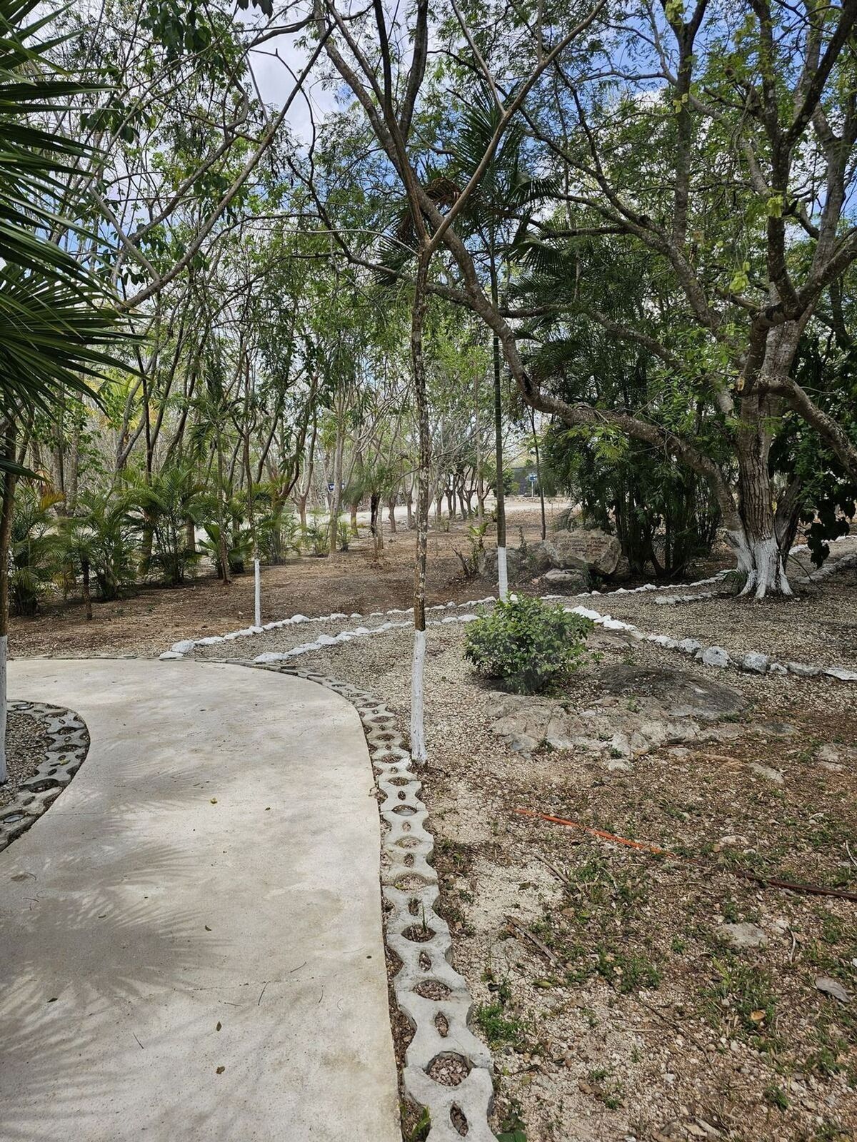 17 de 48
