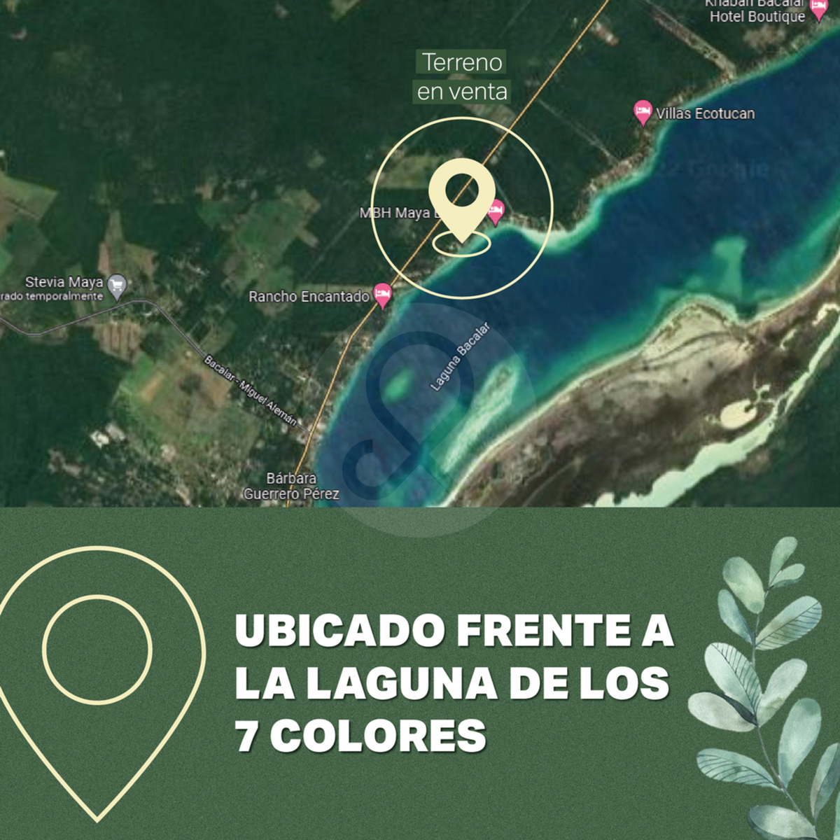 12 de 19