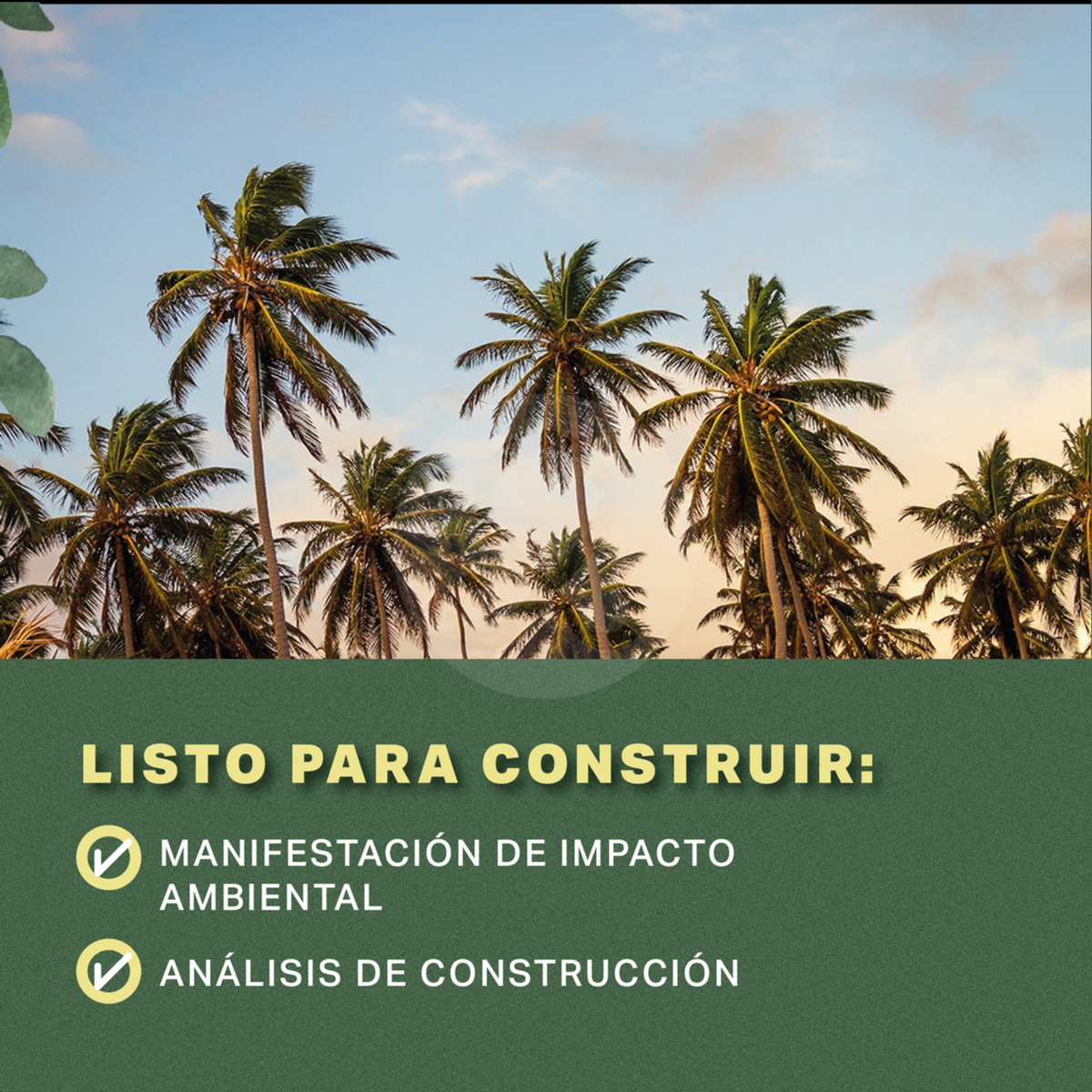 14 de 19