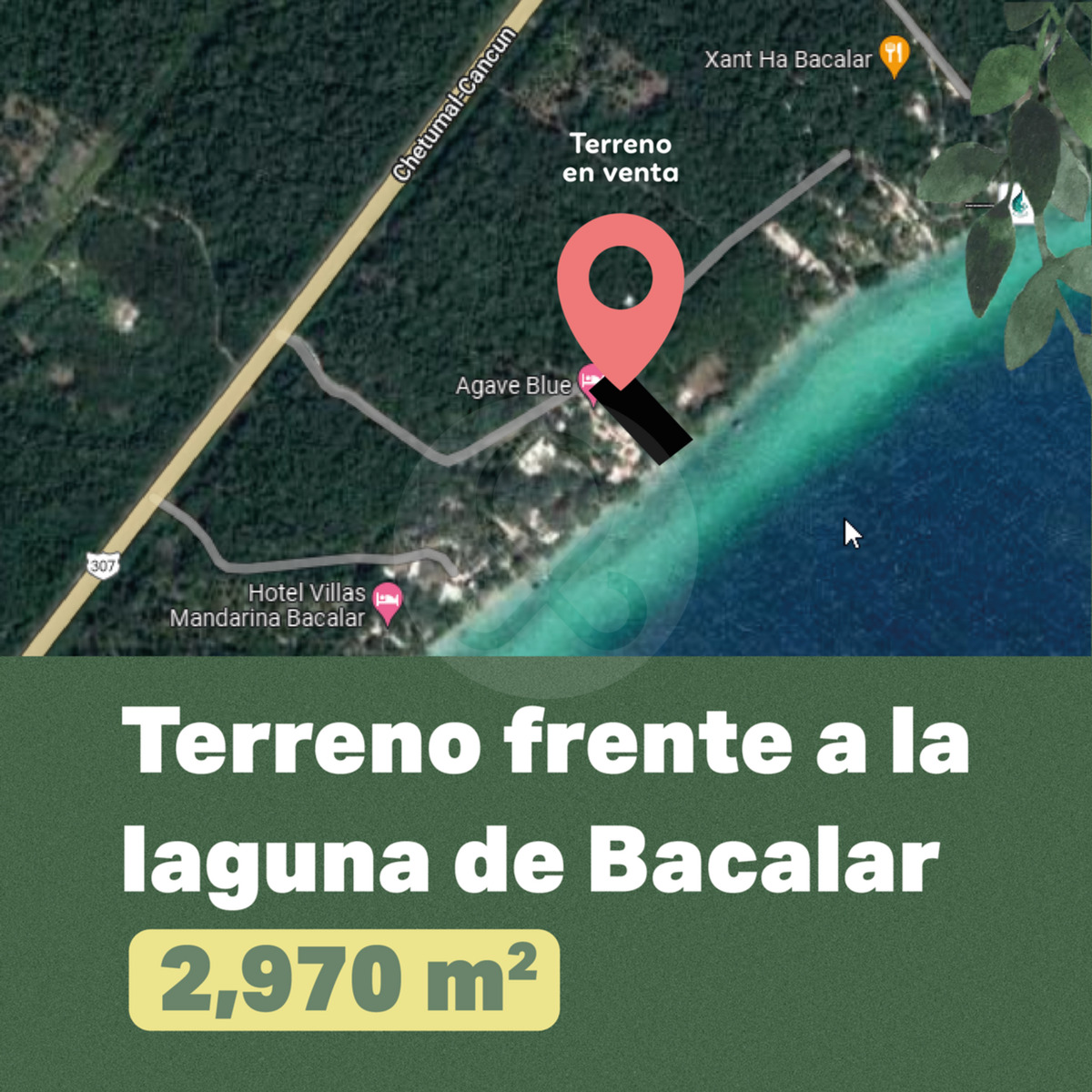 15 de 19