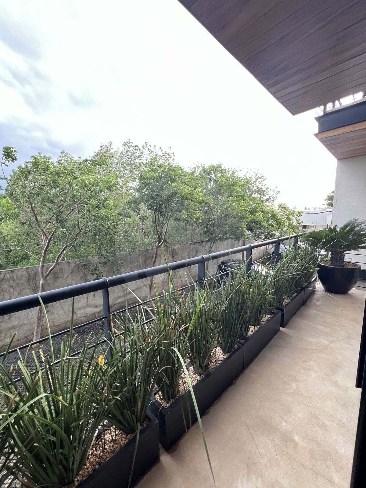 8 de 25