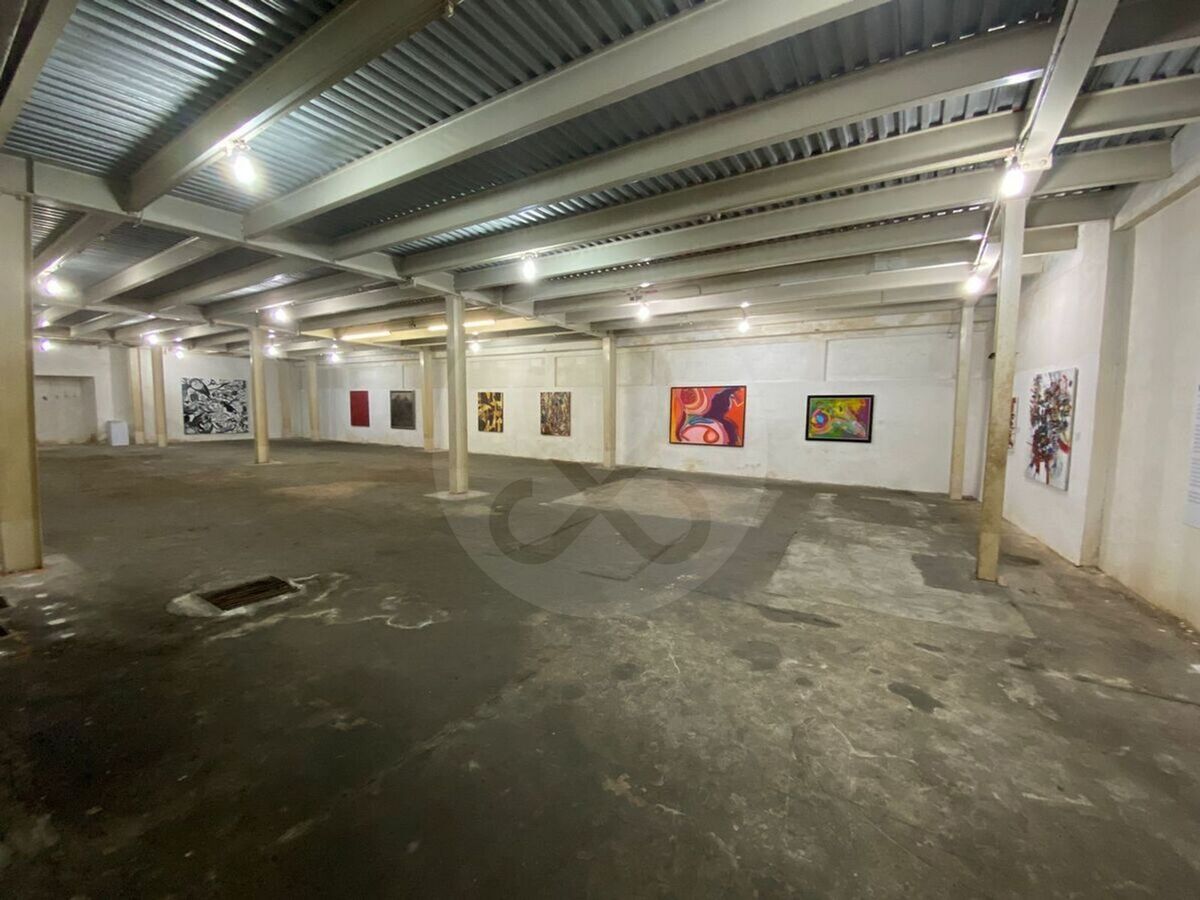 14 de 19